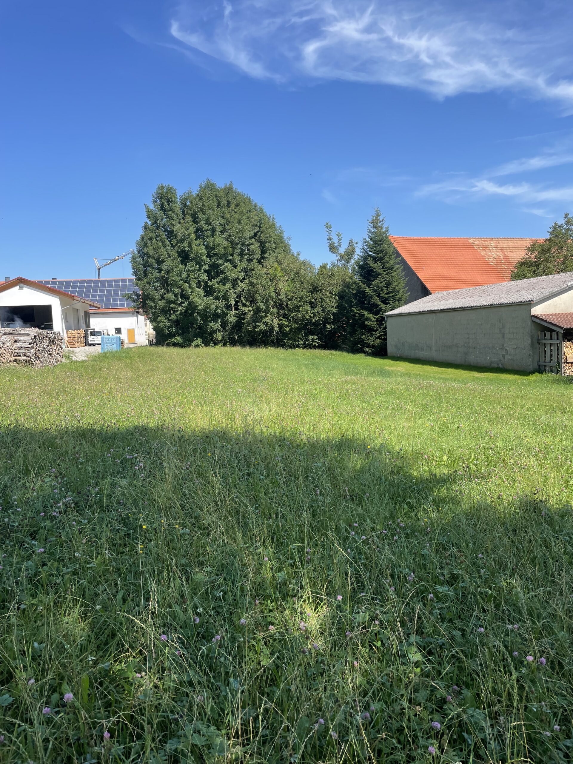 IMG_2781 Immobilienmakler Rapp